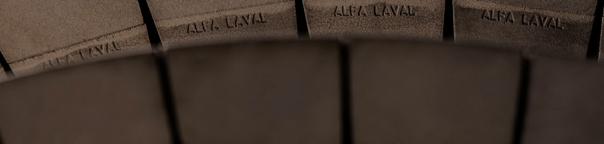 Alfa Laval – Evolve (Leadership & Mentoring)